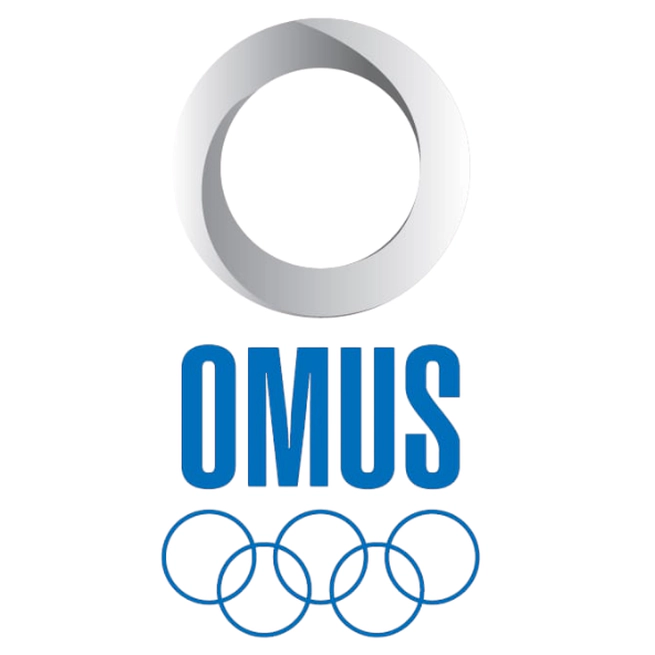 Silver, Bronze and Honorable Mentions for Univallunos at the OMUS4